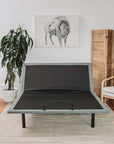 Z300 Cama Eléctrica Ajustable - Lunela