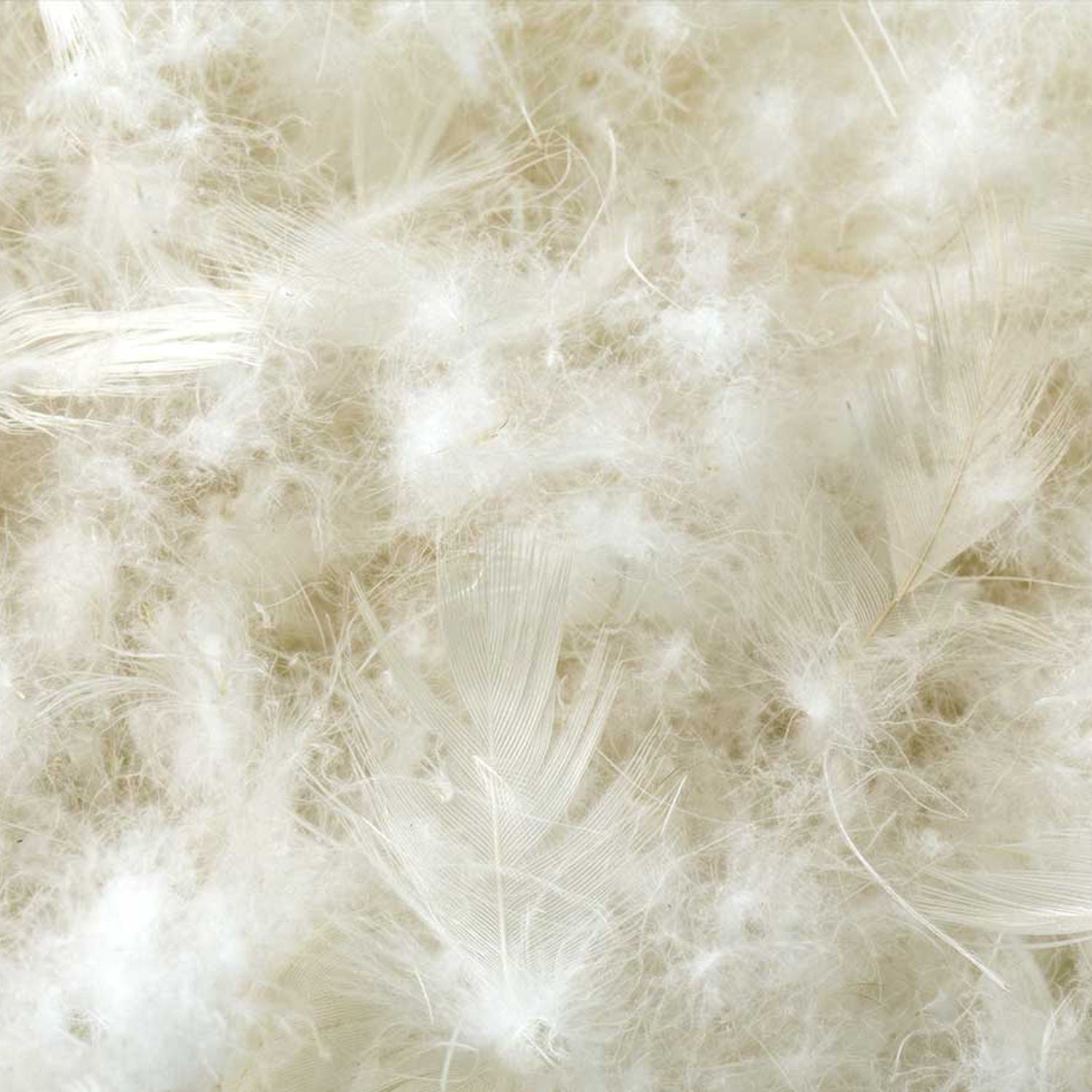 Almohada Z Cotton Encased Feather + Down Blend - Lunela