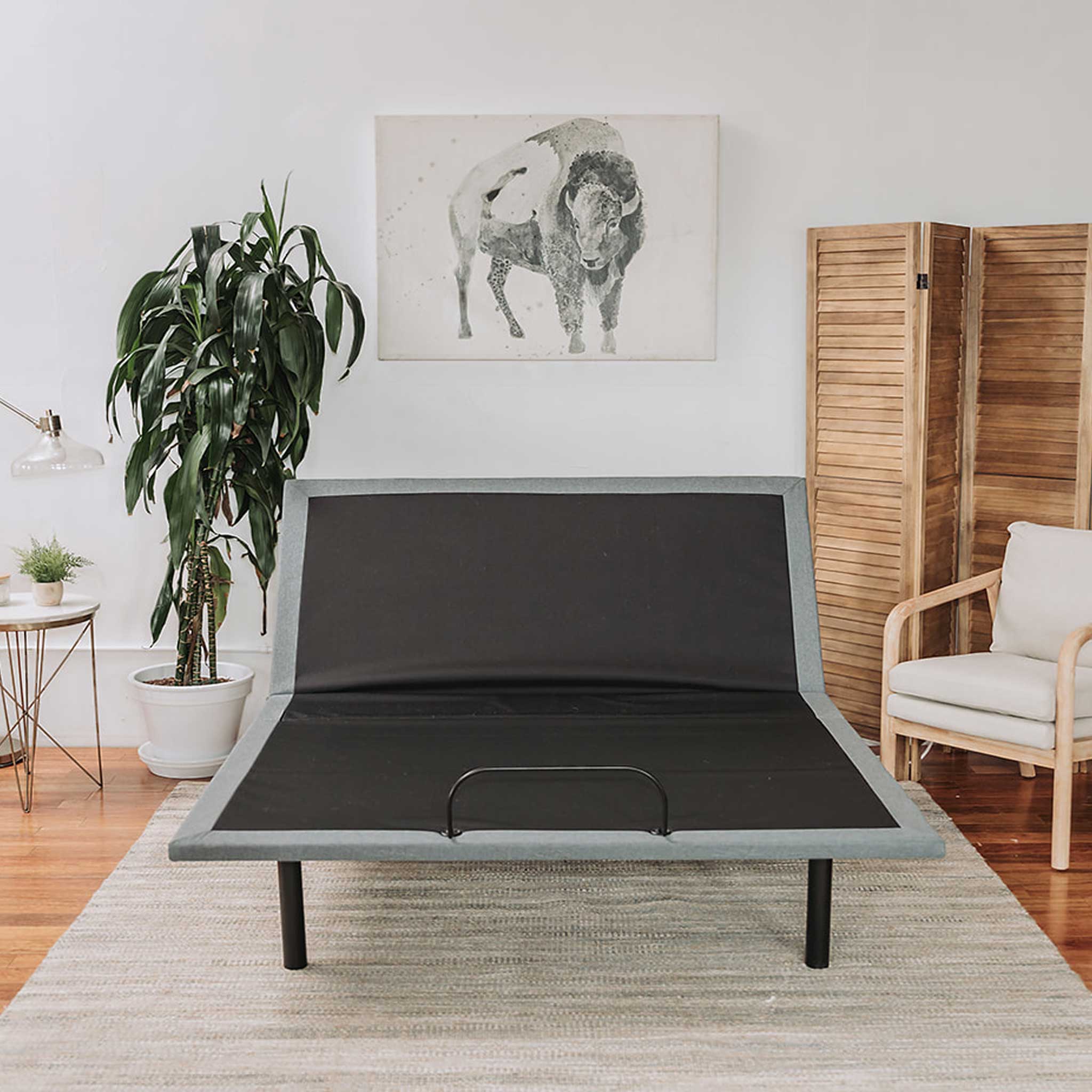 Z300 Cama Eléctrica Ajustable - Lunela
